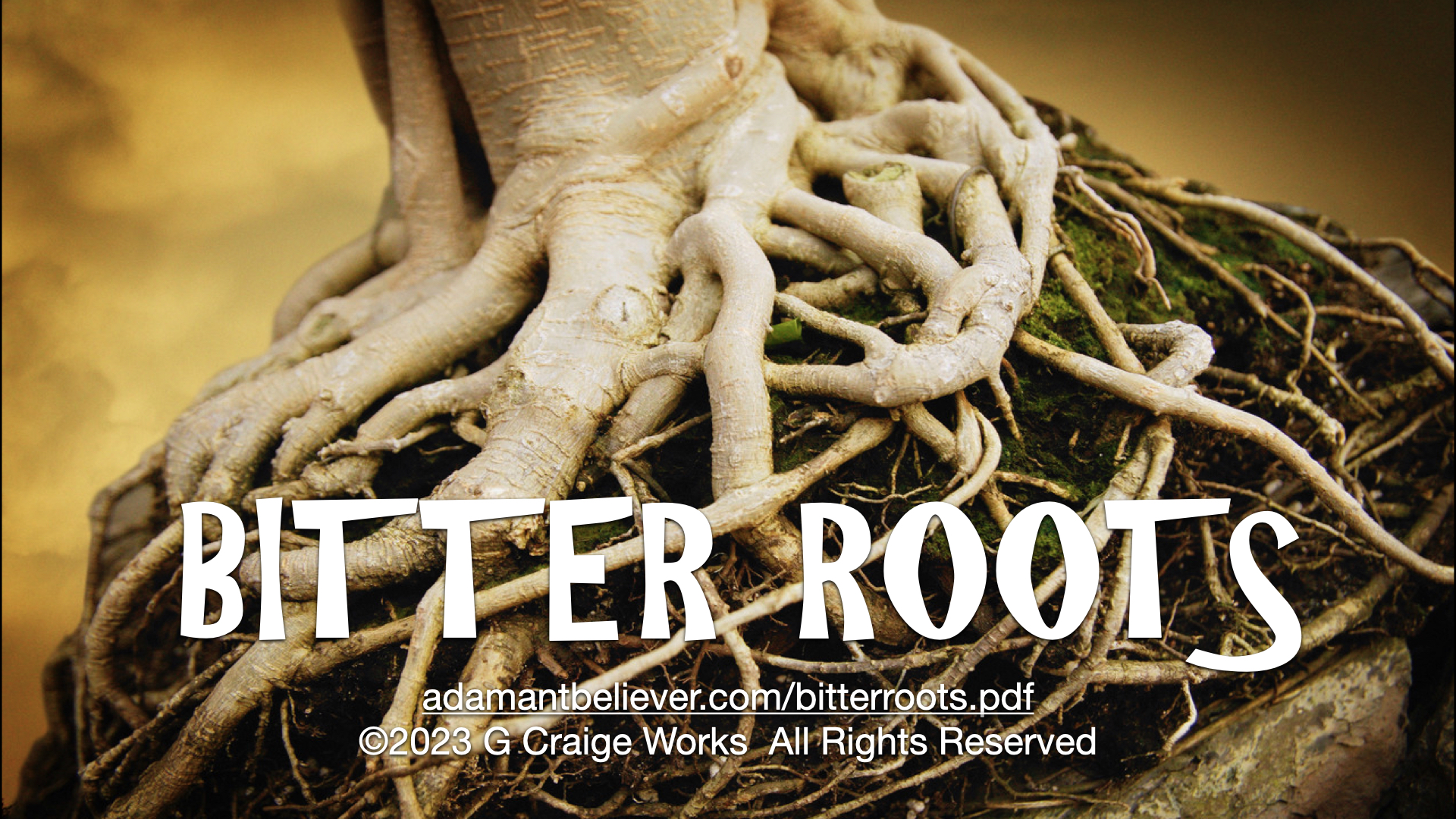 bitter roots.001